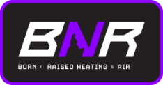 BNR LOgo